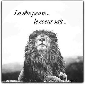 Meet your Posher, Helenis